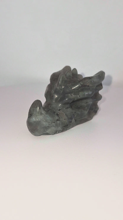 Tête de dragon Labradorite n°149