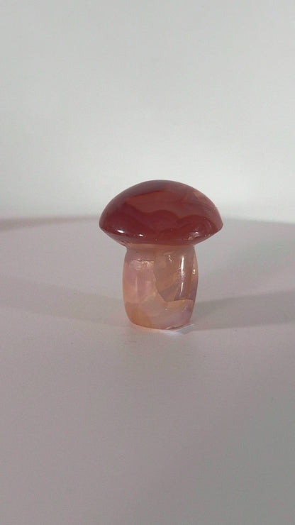 Champignon en Cornaline n°141
