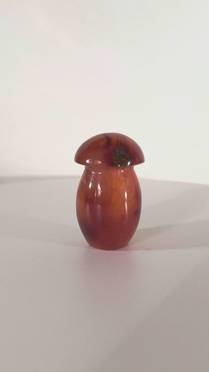 Champignon en Cornaline n°138