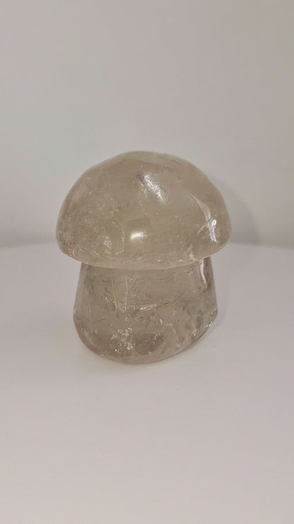 Champignon Quartz fumé n°161