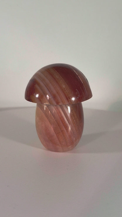 Champignon en Cornaline druse n°136