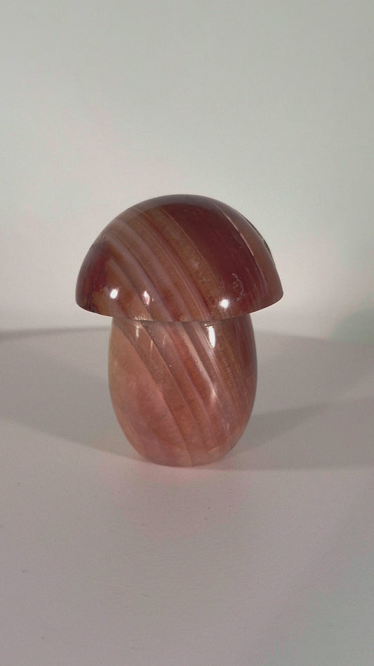 Champignon en Cornaline druse n°136