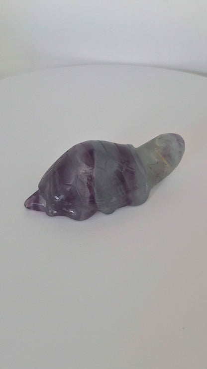 Tortue Fluorite n°114