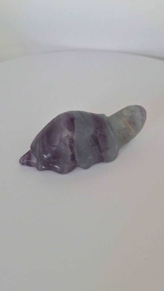 Tortue Fluorite n°114