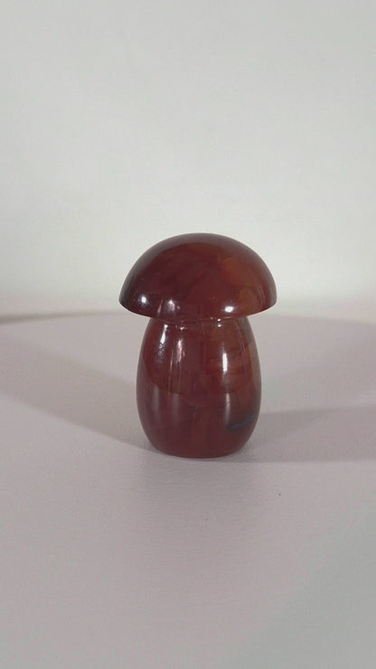 Champignon en Cornaline n°139