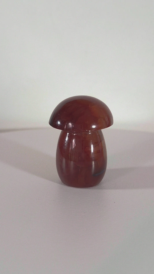 Champignon en Cornaline n°139