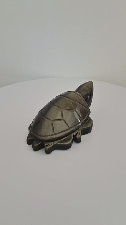 Tortue Obsidienne doré / n°122