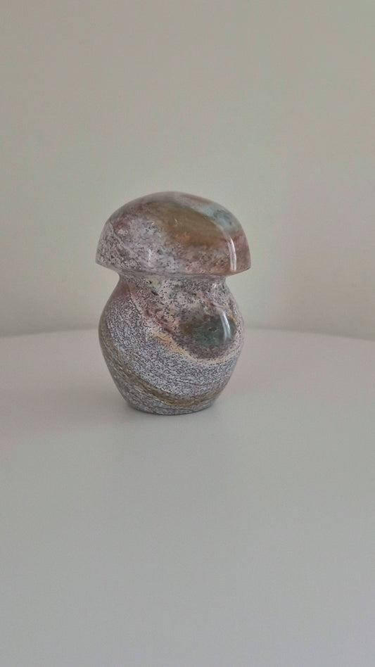 Champignon Jaspe océan n°162