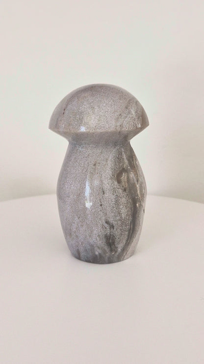 Champignon Jaspe océan n°124
