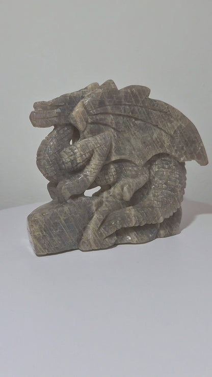 Dragon Pierre de lune n°164