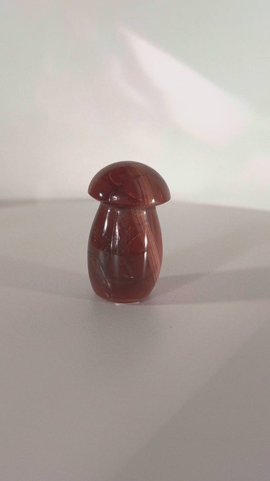 Champignon en Cornaline n°142