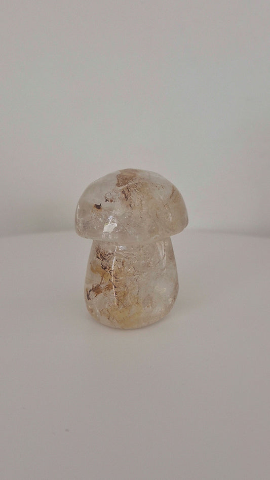 Champignon Quartz doré guérisseur n°123