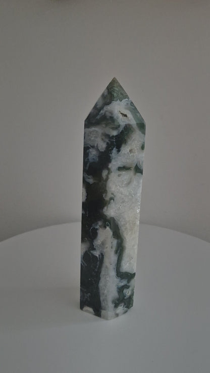 Pointe Tour Agate mousse 18cm / n°14
