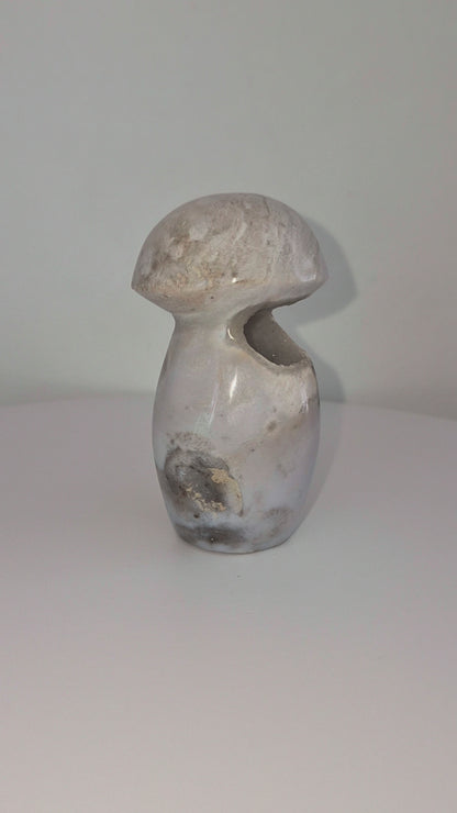 Champignon Jaspe océan n°159