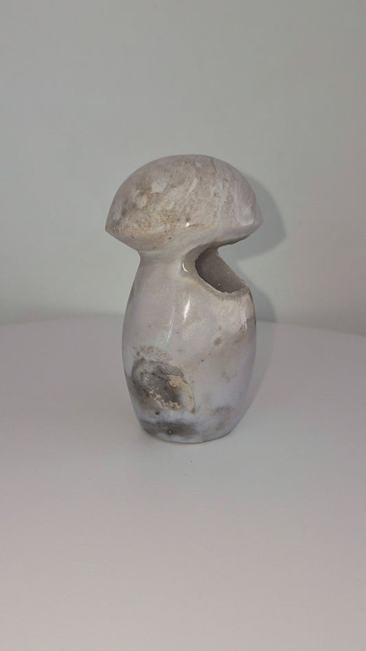Champignon Jaspe océan n°159