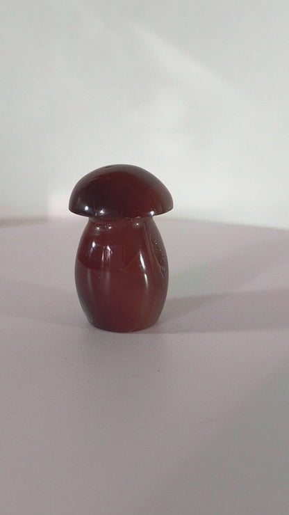 Champignon en Cornaline druse n°140