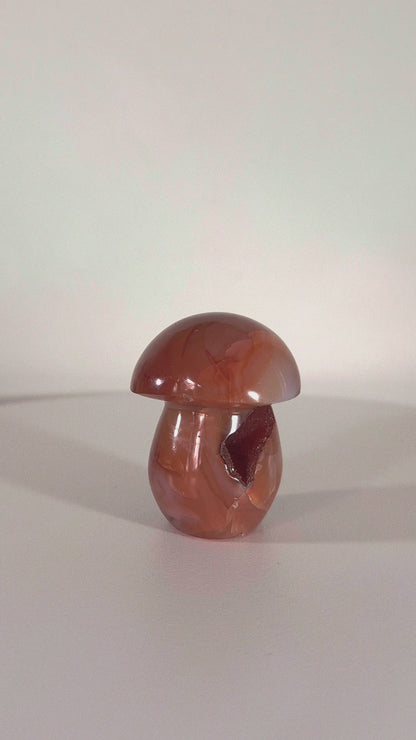 Champignon en Cornaline druse n°137