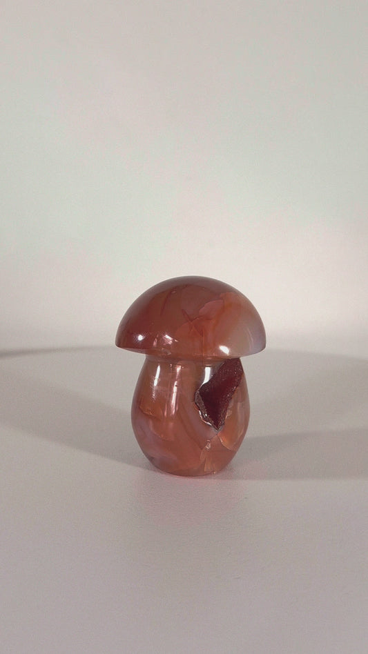 Champignon en Cornaline druse n°137