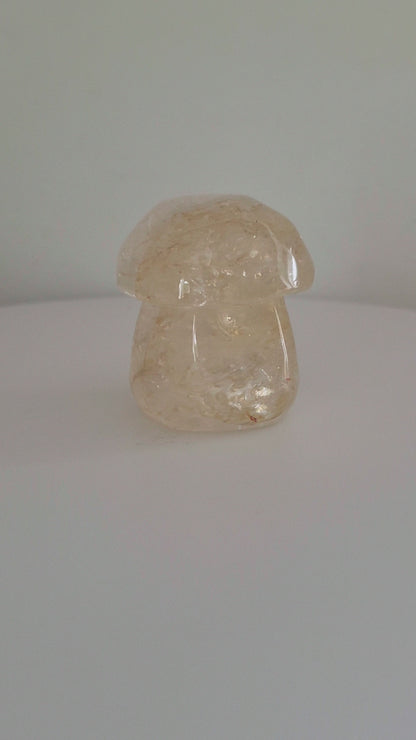 Champignon Quartz doré guérisseur n°160