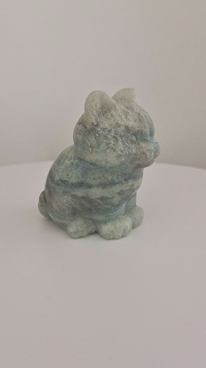 Chat en Calcite Caraïbes n°145