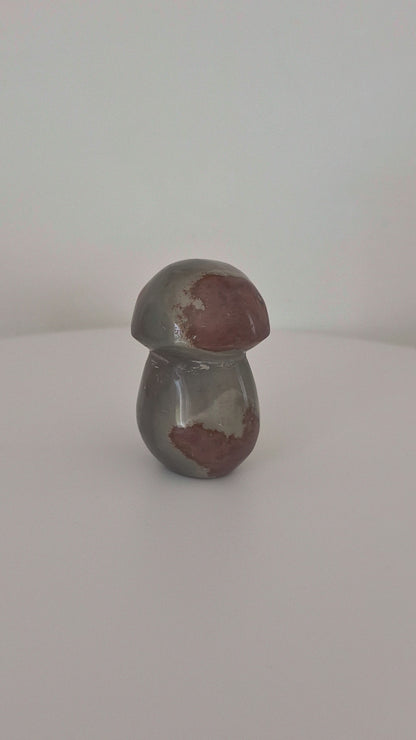 Champignon en Jaspe polychrome n°144