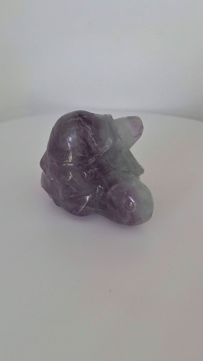 Tortue duo Fluorite n°115