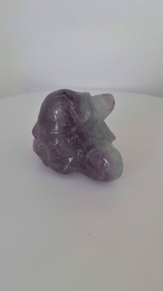 Tortue duo Fluorite n°115