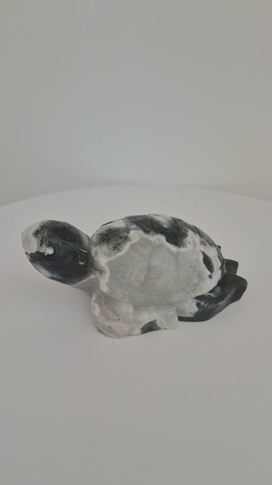 Tortue Agate mousse / n°116