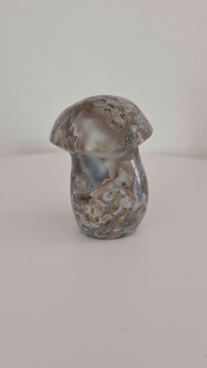 Champignon Jaspe océan n°127